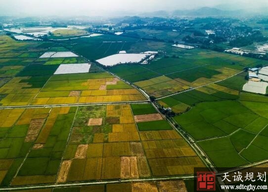 高要严守耕地保护红线 坚决遏制辖区乱占乱建行为