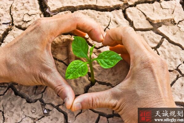 昆明市去年污染地安全利用率达百分之百