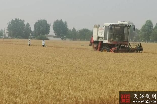 泰安下发《意见》严守耕地保护红线保障粮食生产安全