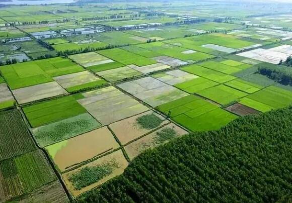 湖北对全域国土综合整治中的永久基本农田调整行为进行规范