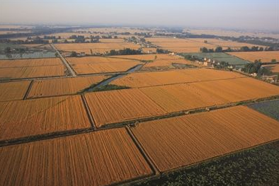 宝应县高标注农田建设为高效农业发展奠定了基础
