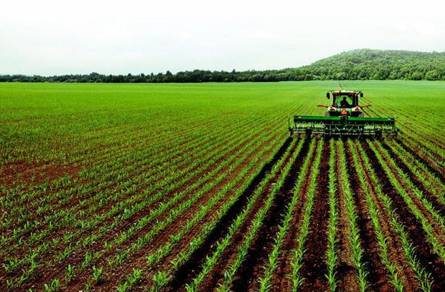济南加强耕地用途管制 牢牢把握粮食安全主动权