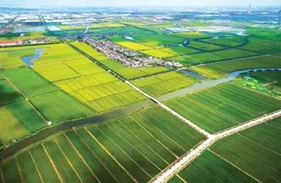 健全农村土地流转服务体系 完善农村土地承包管理制度