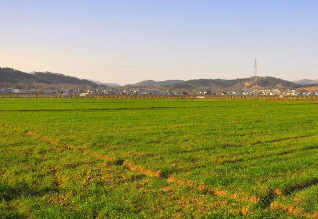 怀宁县扎实做好土地确权工作 保护农民权益维护农村和谐