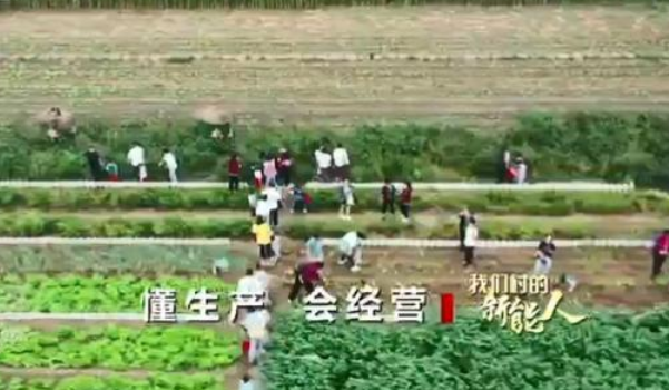 聚焦济宁:家庭农场农业经营新模式推动乡村振兴