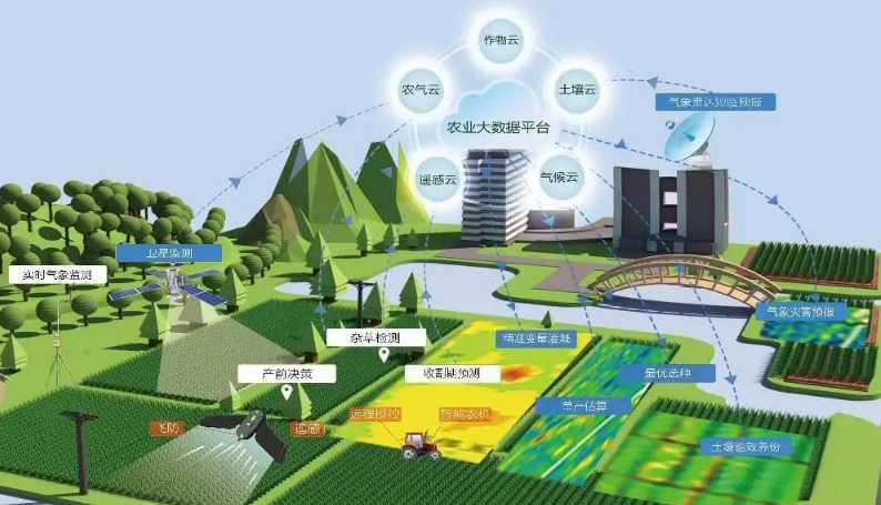 楚雄市扎实深入开展国家数字乡村试点建设工作