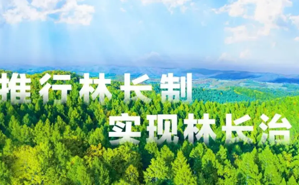 济宁计划创建15个市级林长制示范乡镇