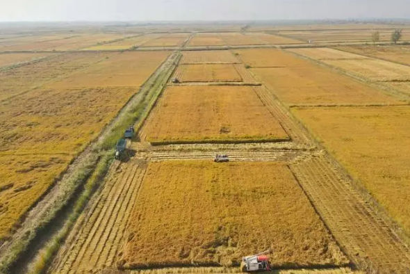 土地确权证如获珍宝-平罗农民的承包地有了身份证