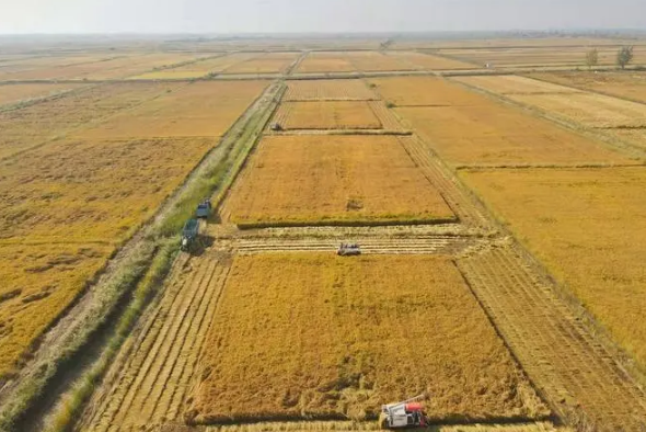 土地确权证如获珍宝－平罗农民的承包地有了身份证