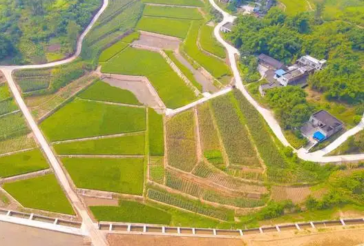 如何让“望天田”真正变“高产田”?
