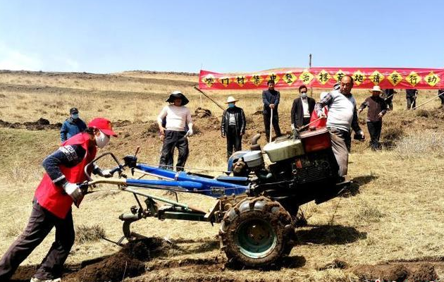 海东市全域耕地“非粮化”和撂荒地整治工作成效显著