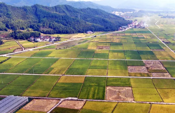 邵武市土地流转为生机勃勃的农业生产添保障