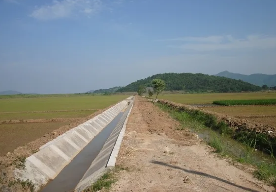 武汉加强对小型农田水利设施的升级工作守牢粮食生产安全