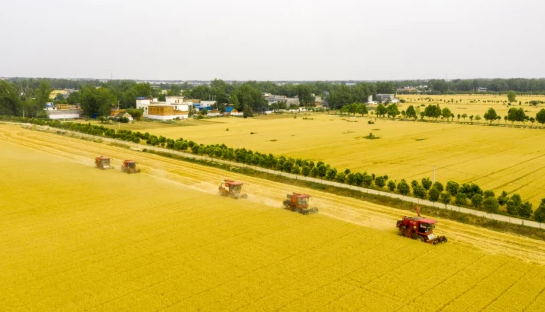 河南省土地流转并延伸产业链助农增产增收