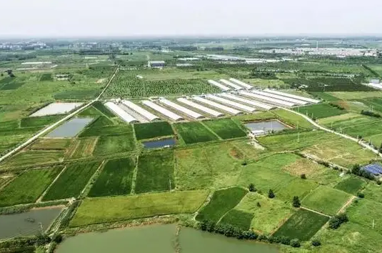长丰县全力兴修农田水利工程为乡村振兴提供水利支撑