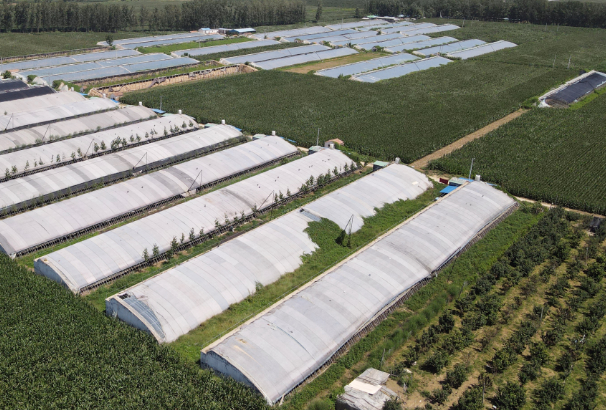 巨野县五项措施助推家庭农场高质量发展
