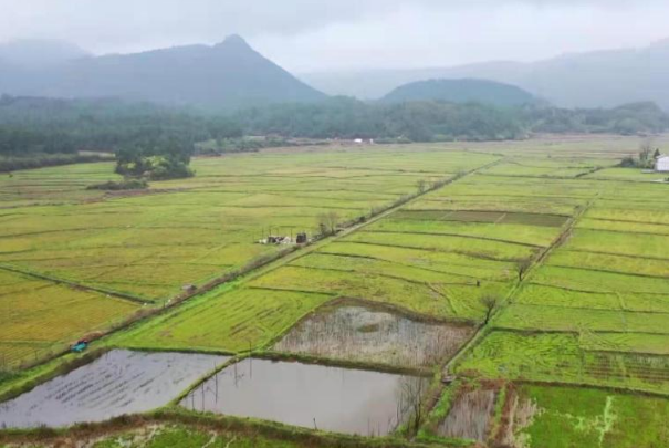 宜黄县农田水利“主动脉”给了当地村民们种好庄稼底气