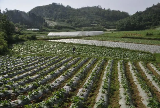 镇原县950万元农村土地贷款解决承贷企业日常运营