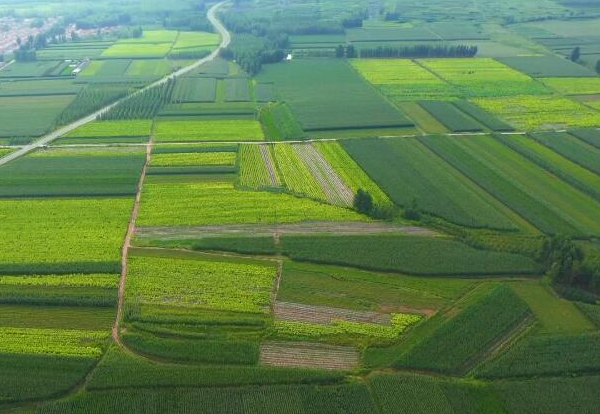 五莲高标准农田建设“山区模式”让小麦喝上了“解渴水”