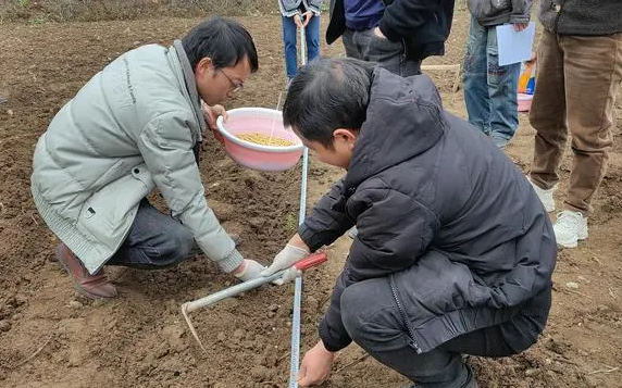 岑巩县大有镇夯实农业产业发展为丰收“保驾护航”