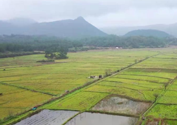 宜黄县农田水利工程给了村民种好庄稼的底气