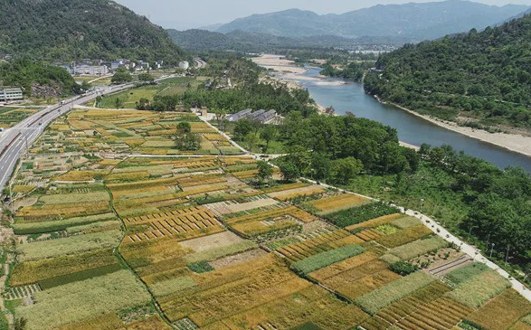 永嘉县更新改造灌溉设施60座促进粮食稳产保收