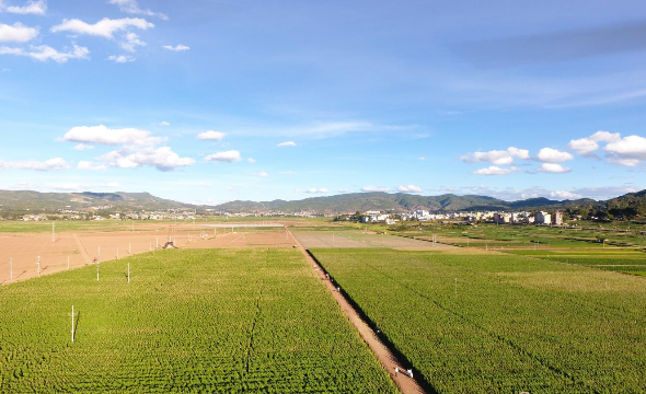 楚雄“1234”措施推进高标准农田建设提高农业生产力
