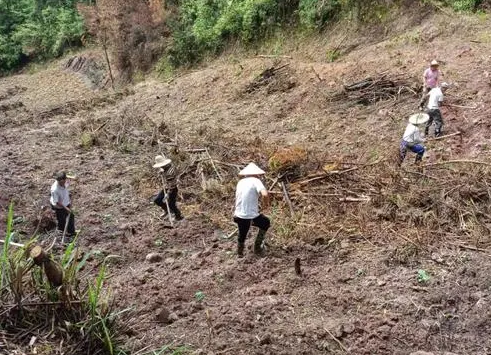 汝城县通过多方合作模式变撂荒地为“致富田”