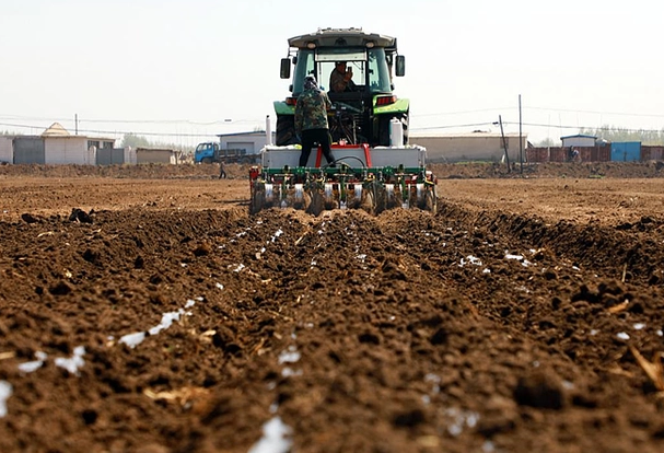 土地流转实现集体经济发展 加快农业现代化进程