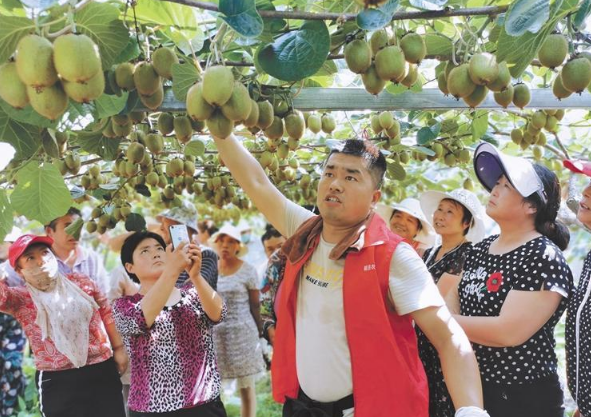 眉县家庭农场发展效益高 带动群众增收致富