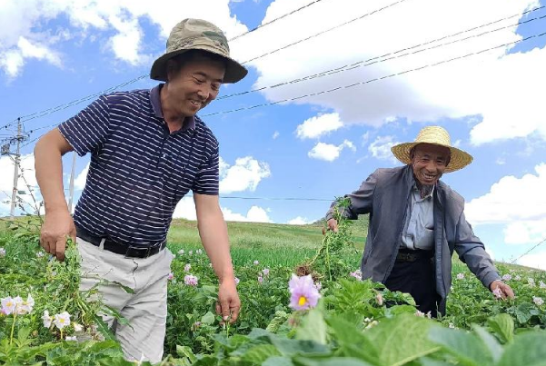 “党建引领、统种共富”-以产业振兴助推乡村全面振兴