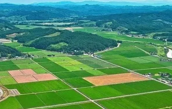 怎样提高农民种粮收益?如何牢牢守住耕地保护红线?