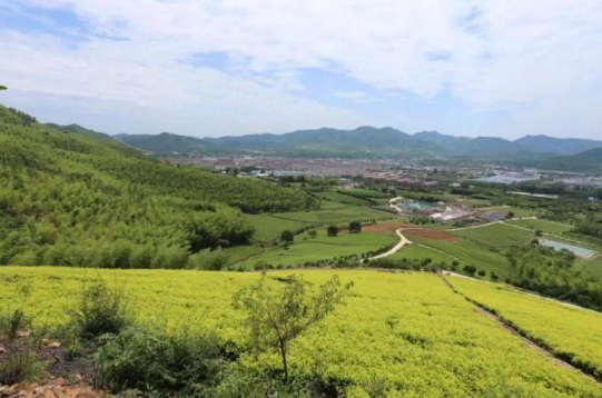 宜兴市11家家庭农场上榜市级示范家庭农场